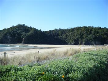 Pacific Edge Holiday Aparatments - Northland