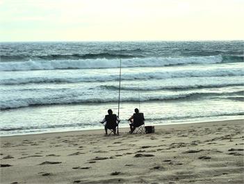 The Iconic Log Cabin by the Sea - Waihi