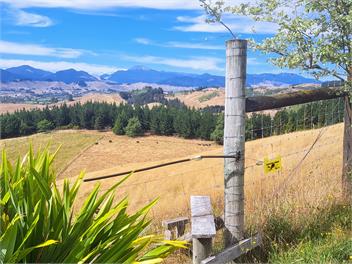 Best Views in Nelson and a Swimming Pool! - Nelson