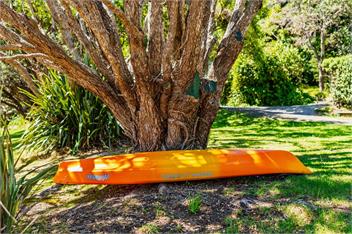 Te Uenga (Bachcare) - Parekura Bay