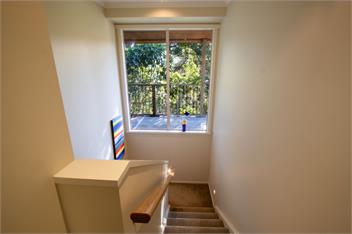 Little Kaiteri escape - 