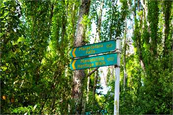 The CHALET & Teacastle Cottage - Havelock North 4294