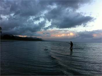 Parapara Cottage -