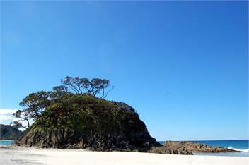 WaiOra Beach Retreat - Great Barrier Island