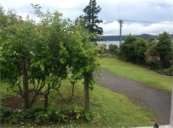 Gisborne Point Cottage - Rotorua 