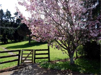 Lupton Lodge - Luxurious 4 Bedroom House - Whangarei
