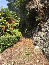 The Bathing Beachouse - Stewart Island