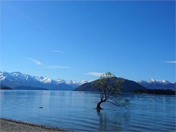 STUDIO ON KINGS - Comfortable & Quiet - Wanaka