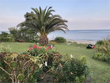 Summer in the Sun - Golden Bay