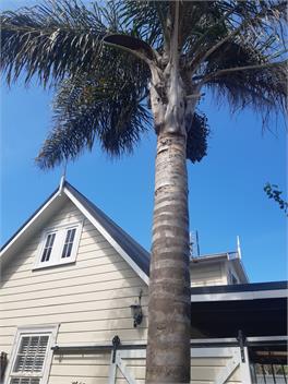 HARBOUR VIEW COTTAGE - Boutique Accommodation - Auckland