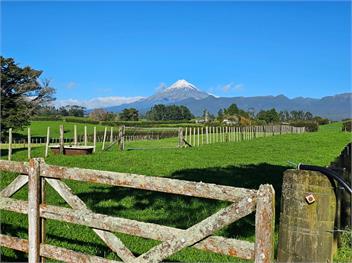 Carrington Countryside (Bachcare) - New Plymouth