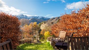 Arrowtown Gold (Bachcare) - Arrowtown
