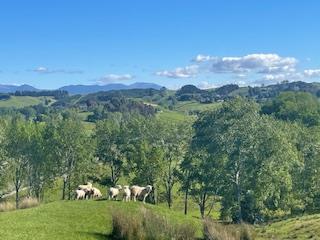 Relaxing, Spacious, New Family Home - Mapua