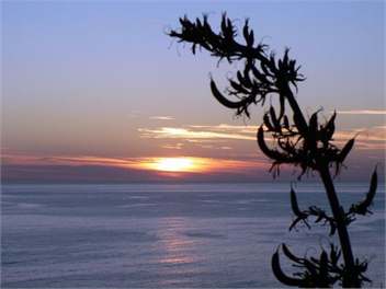 Tidal Waters Loglodge - Gisborne