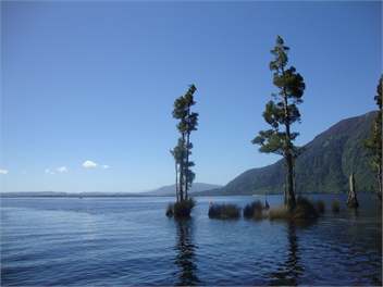 Kadandy Cottage - West Coast