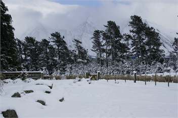 Benlea Cottage - Windwhistle