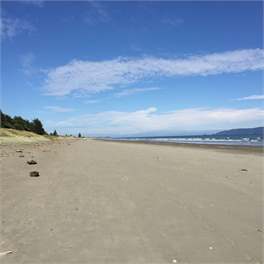 'Olde Beach Villa'  Waikanae. A wonderful ocean-view beach house - Waikanae