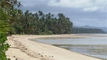 Hibiscus Bure @ the Beach in Vanua Levu Fiji - savusavu