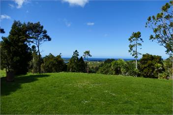 Seaviews, Cedar hot tub, Kayaking, Native Virgin bush - WHANGAREI