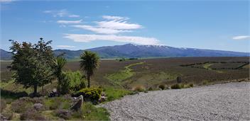 Springvale Holiday Home - Alexandra