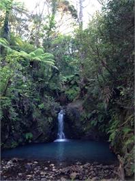 Deep Blue Haven - Great Barrier Island
