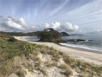 The Pohutukawa Bach, Medland's Beach - Great Barrier Island