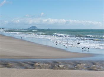 A Beach Barn Haven (Bachcare) - Papamoa