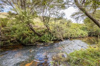 Havenbrooke (Bachcare) - Kerikeri