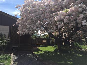 Chris's Cabin - Greytown
