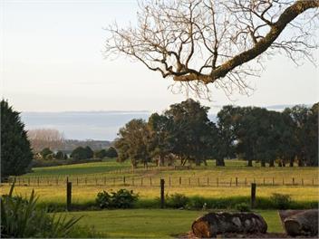 Tui Glen - Rural Peace in Lifestyle Residence - Kerikeri