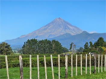 Carrington Countryside (Bachcare) - New Plymouth