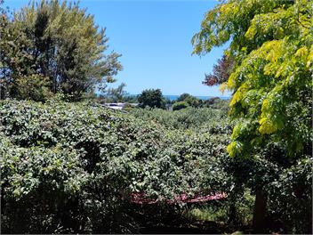 Māpua Garden Home - Tasman