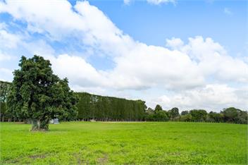 Bayview Cottage (Bachcare) - Tauranga