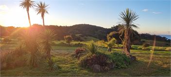 Whananaki Barn & Cabins: Our Off-Grid Family Escape -
