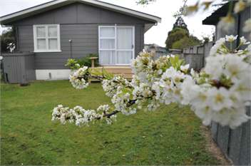 Whangamata Kiwi Bach - Whangamata
