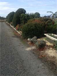 Catlins Lake View - Owaka