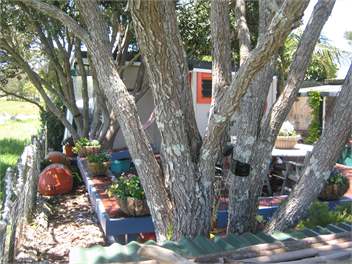 The Pohutukawa Cabin at Karikari Lodge - RD 3 Kaitaia