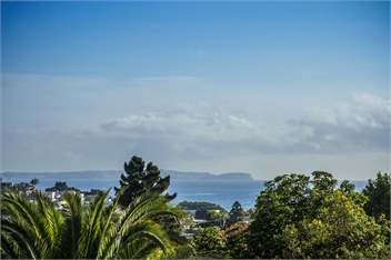 Luxury by the Sea - Auckland