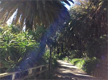 COBWEBS COTTAGE - Riversdale Beach