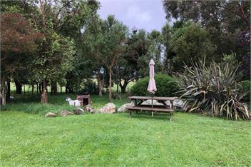 Country Retreat close to Kaikoura - Kaioura
