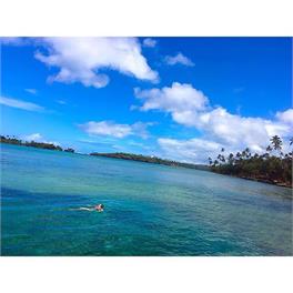 Hibiscus Bure @ the Beach in Vanua Levu Fiji - savusavu