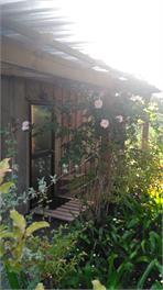 Waitotara Cottage - Kerikeri