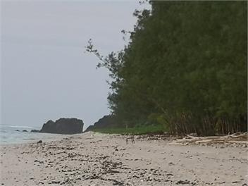 Jacqui's Beach Retreat - Leila Apartment - Rarotonga