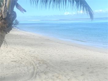 Bella Beach Bungalow #2 - Cook Islands