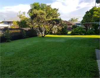 1954 Cottage - Mid Century Modern Vibe. - Brisbane