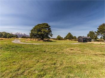 Sno Ruapehu (Bachcare) - Horopito