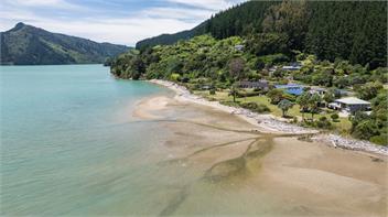 Linkwater Wonder (Bachcare) - Picton