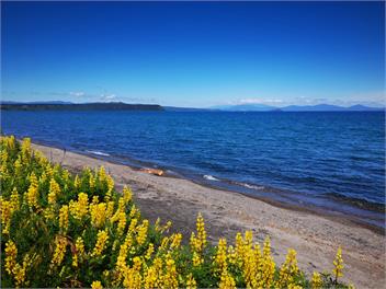5 mile flats - Taupo