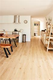 175° East - Tree House - Auckland