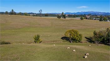 Kettle House (Bachcare) - Upper Moutere